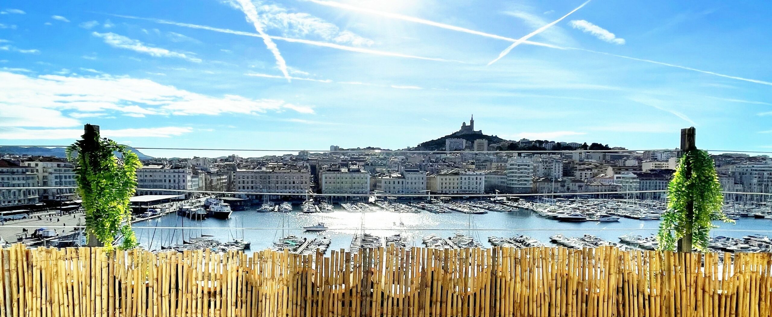 Vue du balcon de la terrasse